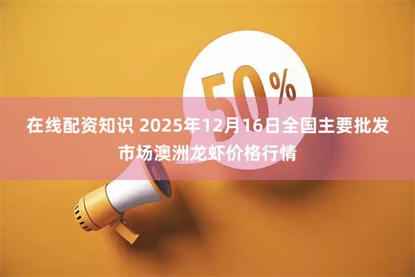 在线配资知识 2025年12月16日全国主要批发市场澳洲龙虾价格行情
