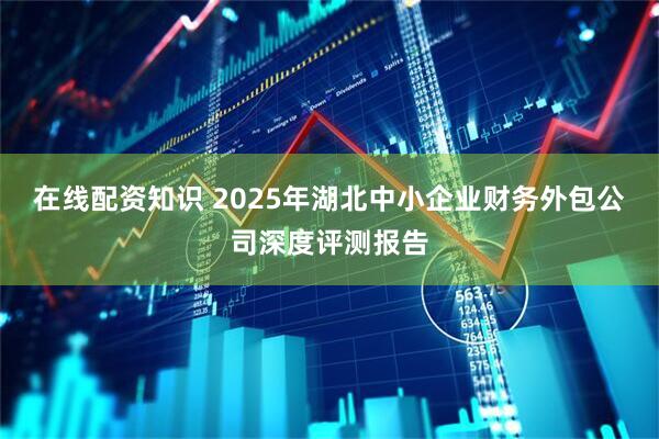 在线配资知识 2025年湖北中小企业财务外包公司深度评测报告