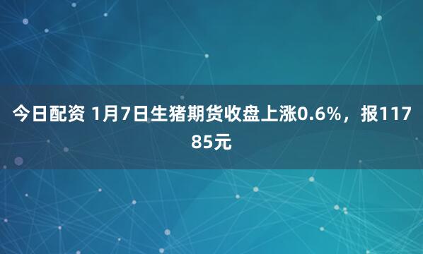 今日配资 1月7日生猪期货收盘上涨0.6%，报11785元