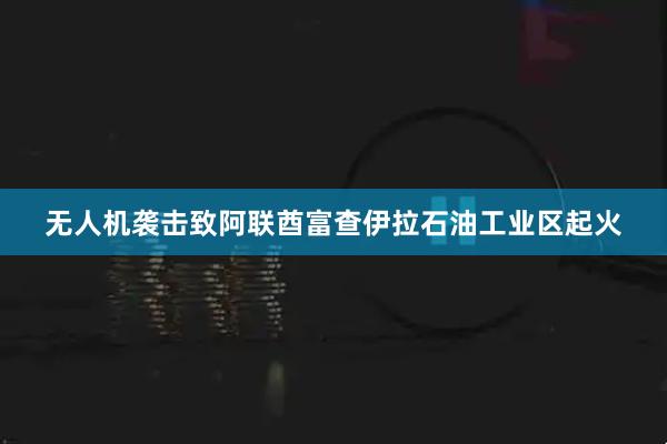 无人机袭击致阿联酋富查伊拉石油工业区起火
