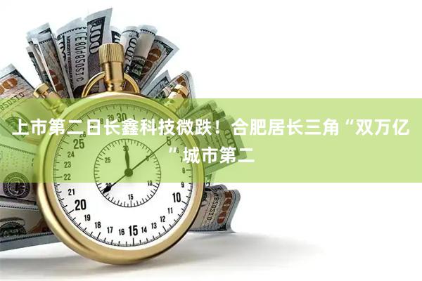 上市第二日长鑫科技微跌！合肥居长三角“双万亿”城市第二