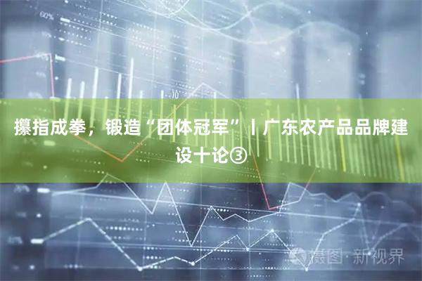 攥指成拳，锻造“团体冠军”丨广东农产品品牌建设十论③